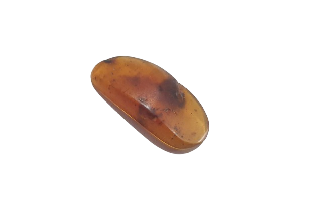 Ambar con inclusión de insecto tres