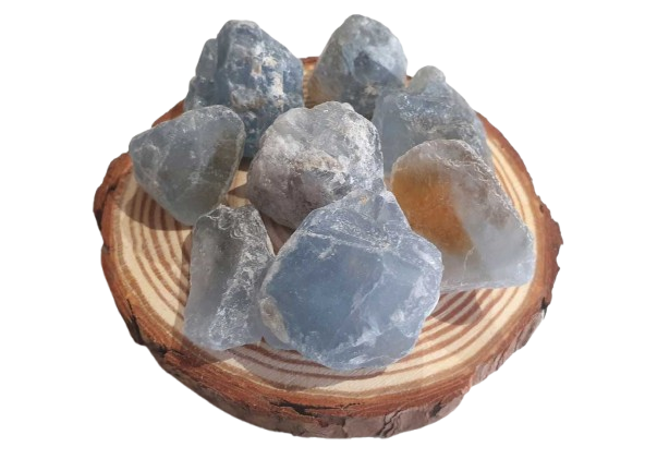 Celestina en Bruto cinco