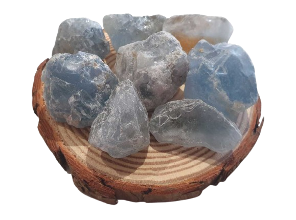 Celestina en Bruto cuatro