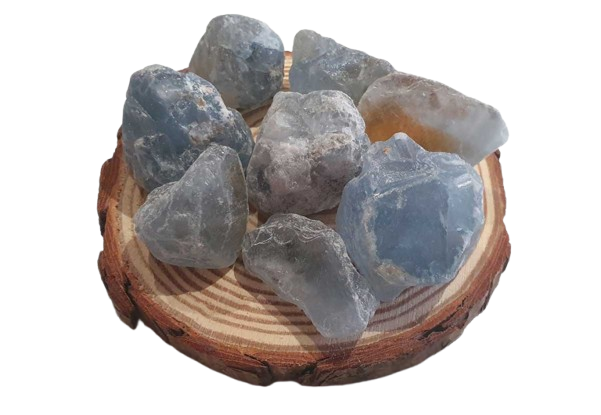 Celestina en Bruto dos