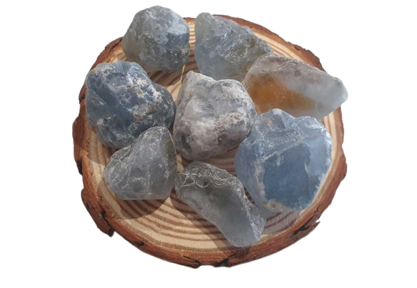 Celestina en Bruto tres