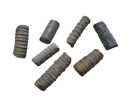 Crinoidea Columnar fosil