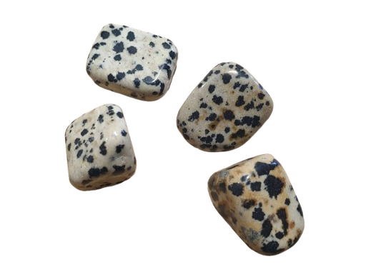 Jaspe Dalmata