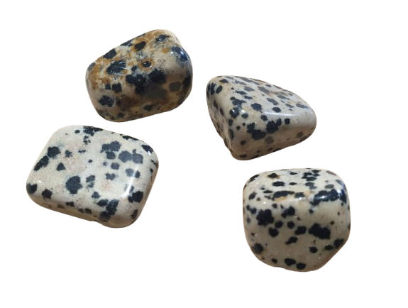 Jaspe Dalmata cuatro