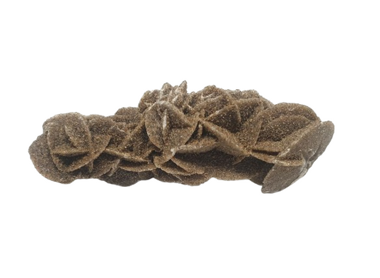 Rosa del Desierto dos