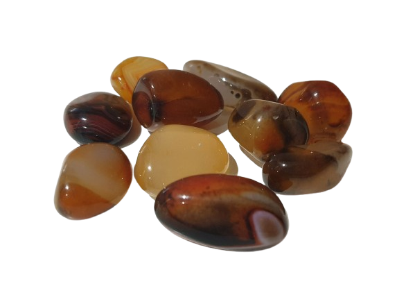 agata pulida comprar