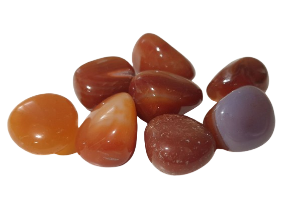 cornalina comprar online