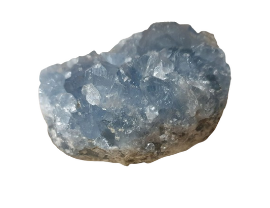 drusa de celestina dos