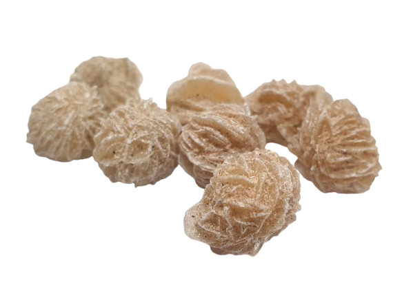 Rosa del Desierto Mini - Almaedinia