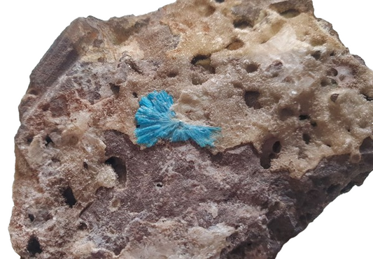 Detalle de los cristales azul intenso de cavansita natural sobre matriz mineral procedente de India.