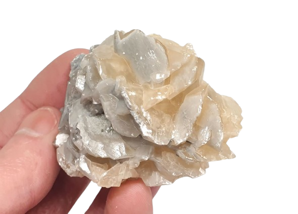 Flor de calcita de coleccion