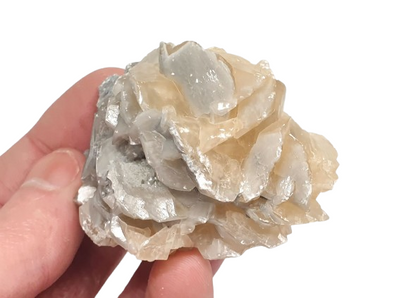 Flor de calcita de coleccion