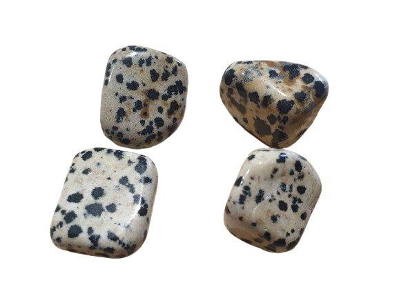 Jaspe Dalmata tres