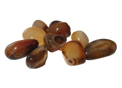 agata pulida coleccion