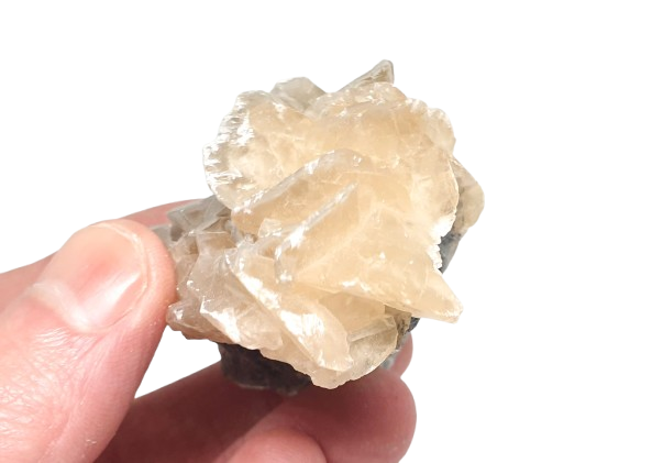 calcita en forma de flor