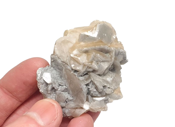 calcita en forma de flor mineral