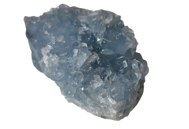 drusa de celestina tres