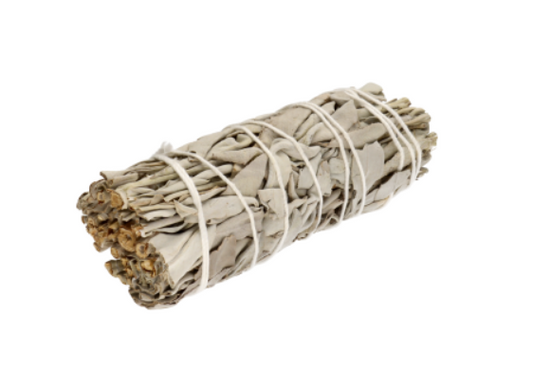 manojo de salvia blanca