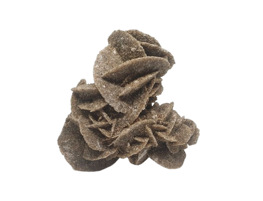 rosa del desierto africa