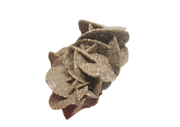 rosa del desierto africa 3