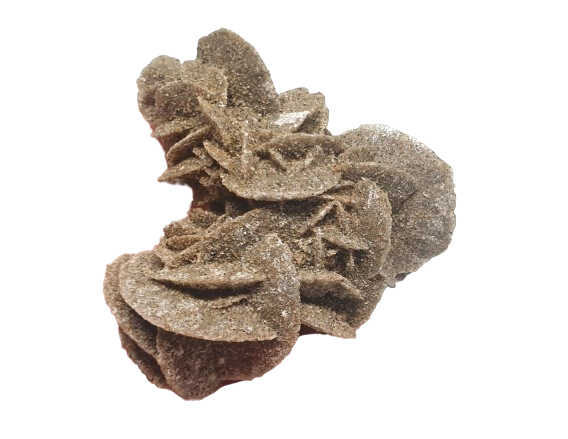 rosa del desierto africa 4