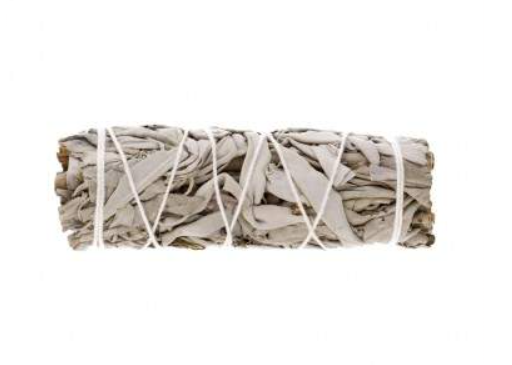 salvia blanca