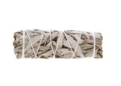 salvia blanca